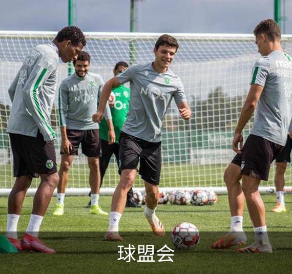 球盟会介绍